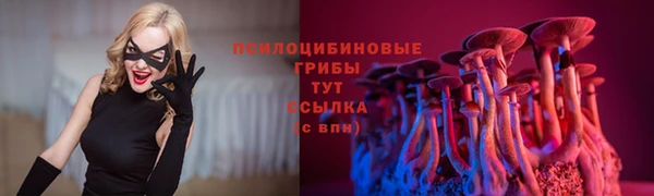 дурь Михайлов